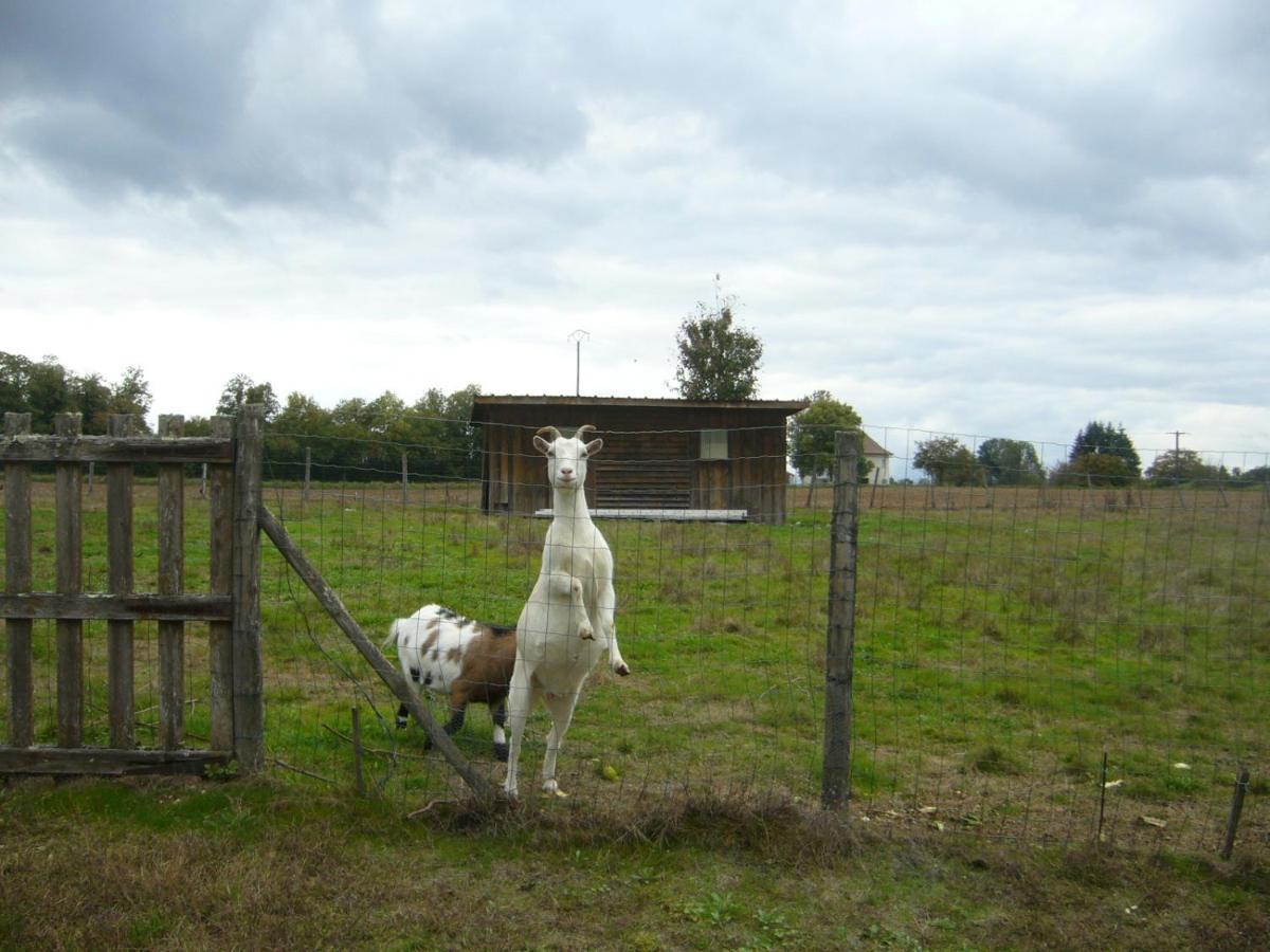 Appartement Le Domaine Des Libellules Proche Walibi Corbelin Exteriér fotografie